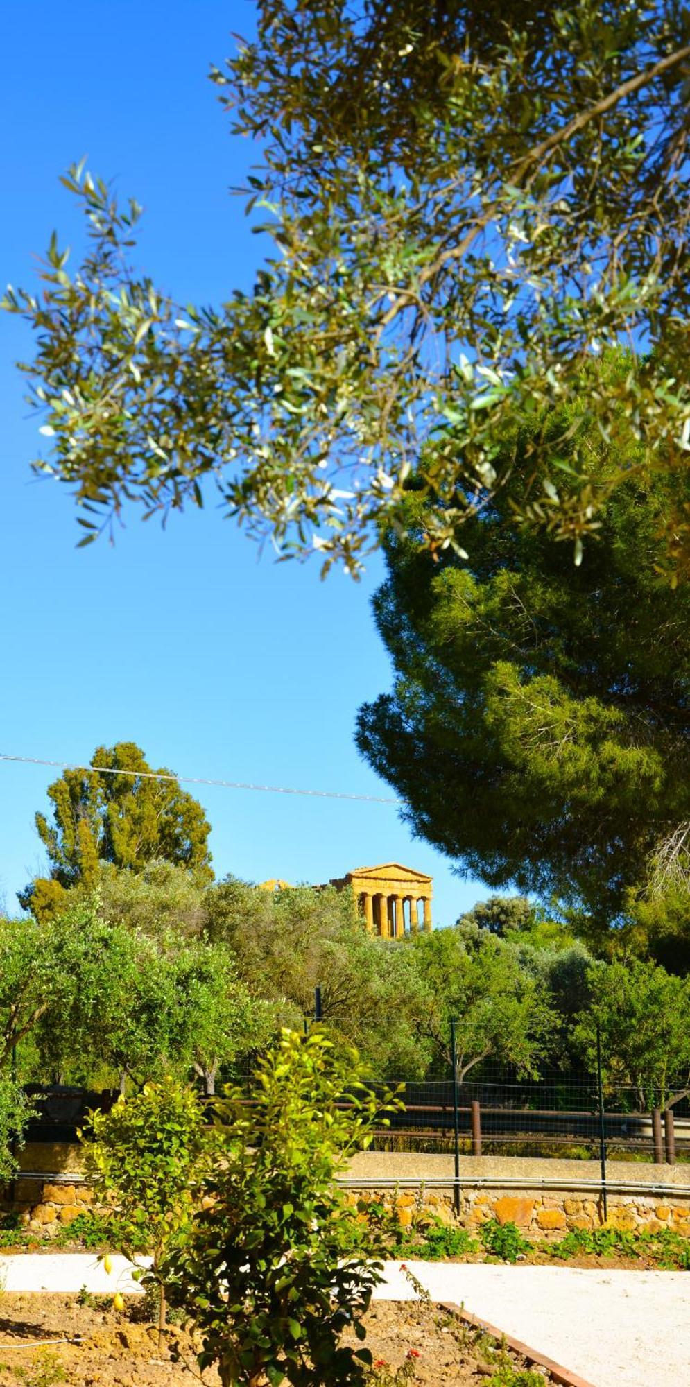 Il Giardino Del Tempio Bed & Breakfast Agrigento Luaran gambar